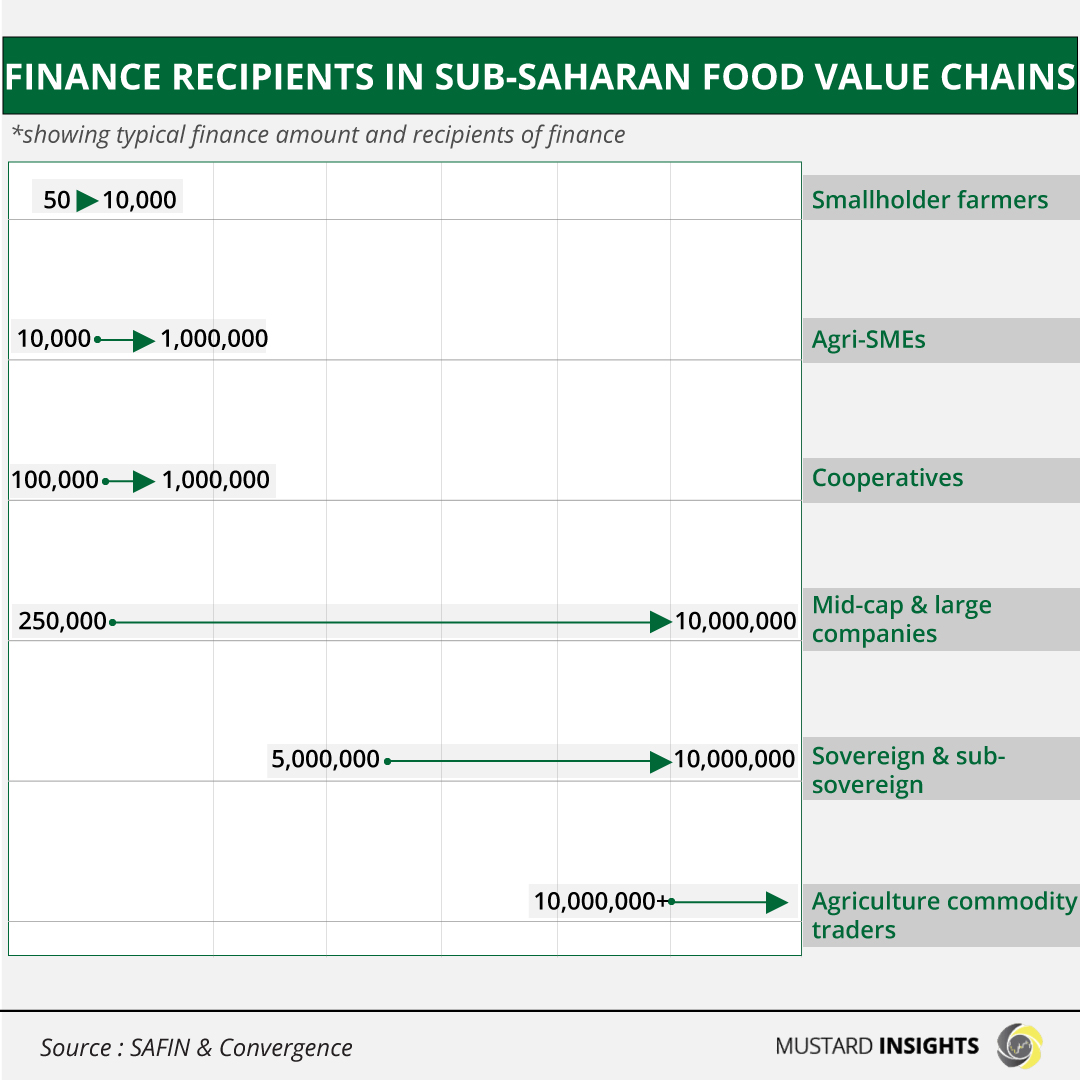 Allocating Finance for Food Systems Transformation Across Sub-Saharan Africa
