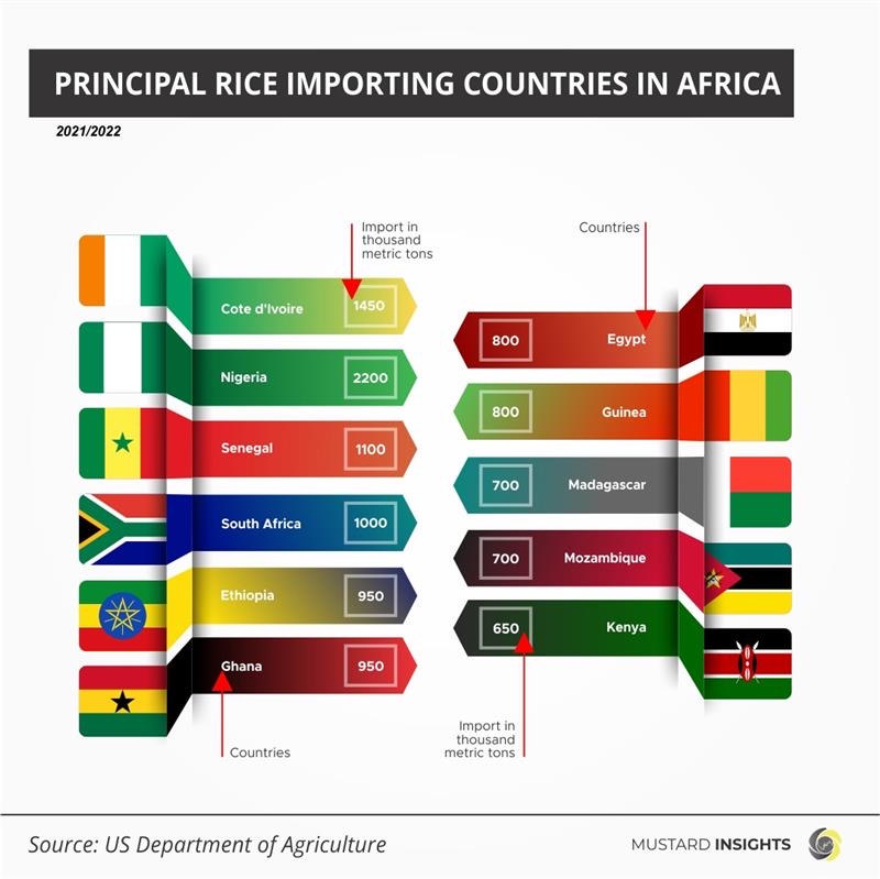 Nigeria: Largest Importer of Rice in Africa